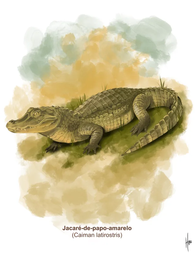 Pintura de um jacaré-de-papo-amarelo