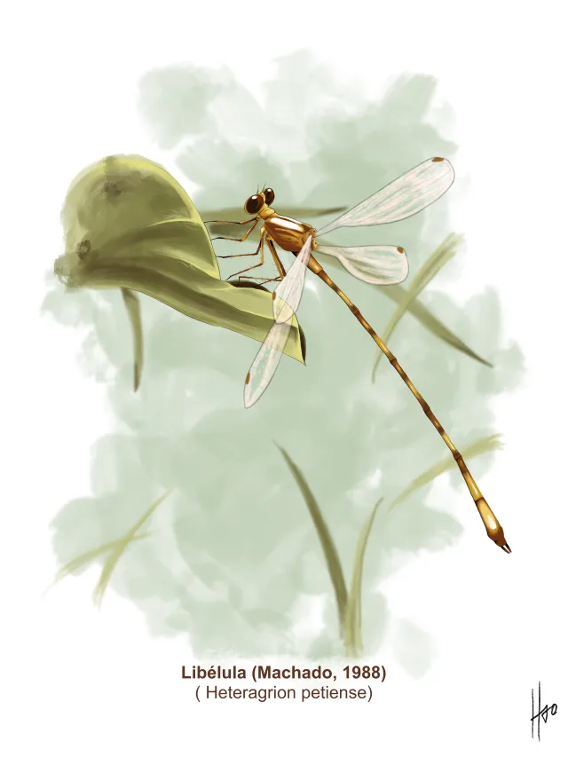 Pintura de uma libélula