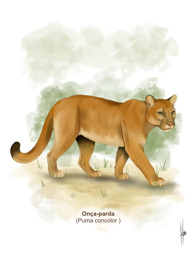 Pintura de uma onça-parda