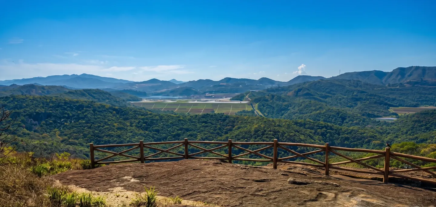 Mirante sobre a mata da reserva